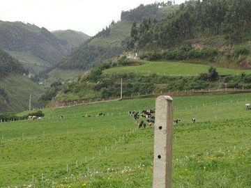 Venta de hacienda en Cayambe, 92 HA