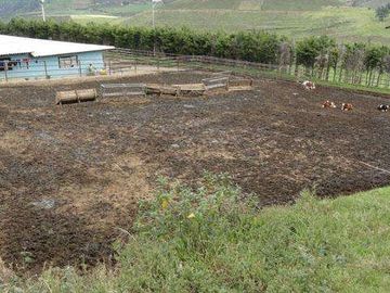 Venta de hacienda en Cayambe, 92 HA
