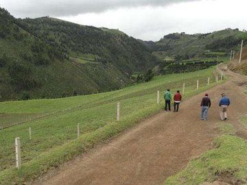 Venta de hacienda en Cayambe, 92 HA