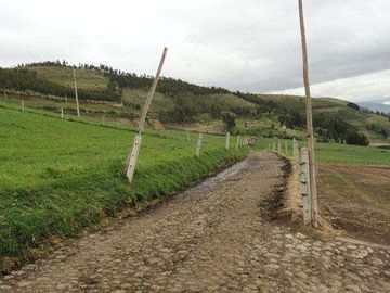 Venta de hacienda en Cayambe, 92 HA