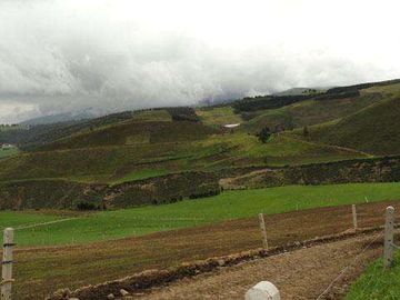 Venta de hacienda en Cayambe, 92 HA
