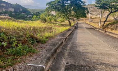 Overlooking Very Affordable 133 Sqm Lot for Sale in Aspen Heights Consolacion Cebu