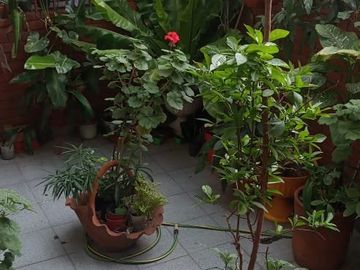 Venta PH/Tipo casa. Balcón y Terraza