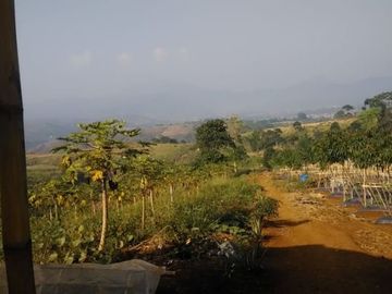 Jual Cepat Tanah Murah 130 Ha Di Sukaresmi Kota Cianjur