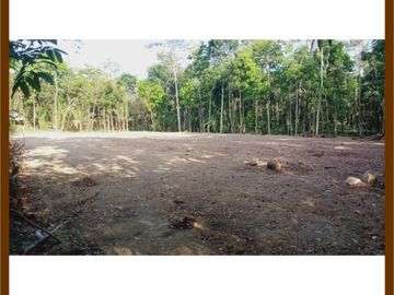 Tanah Magelang, 10 Menit UMM: Legalitas SHM P