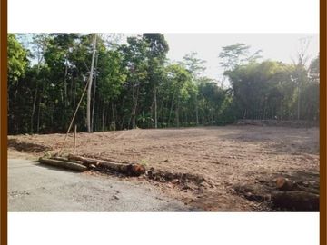 Tanah Magelang, 10 Menit UMM: Legalitas SHM P