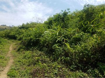 se vende finca en 24 de Mayo