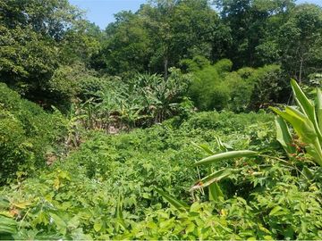 se vende finca en 24 de Mayo