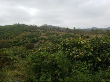 se vende finca en 24 de Mayo