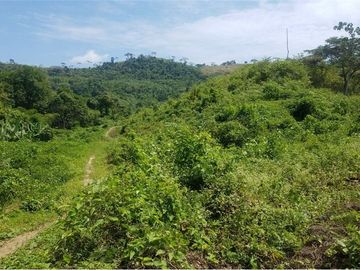 se vende finca en 24 de Mayo