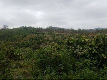 se vende finca en 24 de Mayo