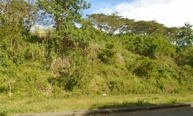 235 Sqm Subdivision LOT for Sale in Greenwoods Subdivision near Talamban Cebu City