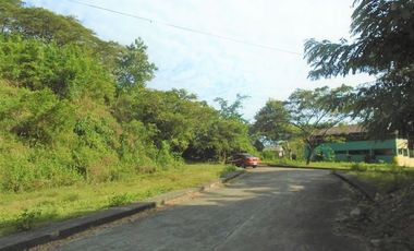 235 Sqm Subdivision LOT for Sale in Greenwoods Subdivision near Talamban Cebu City