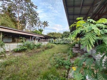 Dijual Tanah di Jln Provinsi Pemda Keradenan Bogor