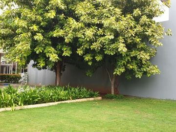 DIJUAL TOWN HOUSE CLOVER HILLS RESIDENCE DI JOGLO JAKARTA BARAT HANYA SISA 7 UNIT!