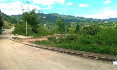 218 SQM Subdivision CORNER LOT for Sale in Greenwoods near Talamban Cebu City