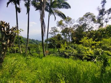 Venta de Finca en Piedecuesta - Vía La Mesa de Los Santos. Cod V6027