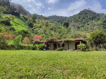 Venta de Finca en Piedecuesta - Vía La Mesa de Los Santos. Cod V6027