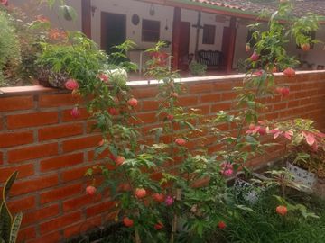 Venta de Finca en Piedecuesta - Vía La Mesa de Los Santos. Cod V6027