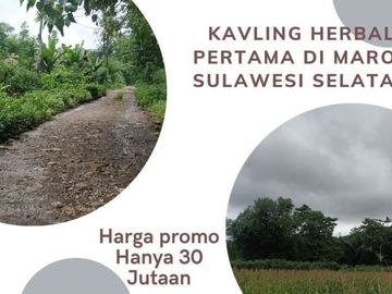 Kavling Tanah Murah Dekat Pesantren Di Maros Makassar Bonus Herbal