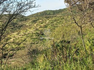 Espectacular Parcela en venta en Melipilla