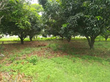 Terreno de mas de nueve hectáreas en El Bejuco