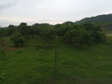 Terreno de mas de nueve hectáreas en El Bejuco