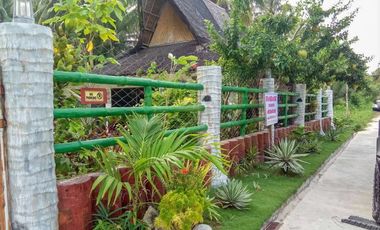 TITLED BEACH FRONT PROPERTY - GL, SIARGAO ISLAND
