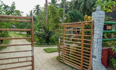 TITLED BEACH FRONT PROPERTY - GL, SIARGAO ISLAND