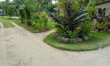 TITLED BEACH FRONT PROPERTY - GL, SIARGAO ISLAND