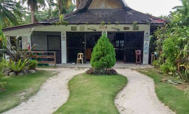 TITLED BEACH FRONT PROPERTY - GL, SIARGAO ISLAND