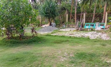 TITLED BEACH FRONT PROPERTY - GL, SIARGAO ISLAND