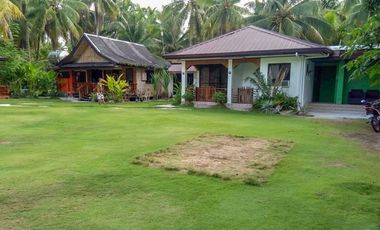 TITLED BEACH FRONT PROPERTY - GL, SIARGAO ISLAND