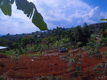 Jual Cepat Tanah Kavling Samping Cafe Ngopi Di Kebon 2 Jt/M²