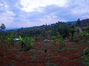 Jual Cepat Tanah Kavling Samping Cafe Ngopi Di Kebon 2 Jt/M²