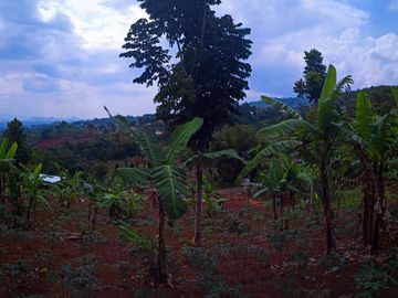 Jual Cepat Tanah Kavling Samping Cafe Ngopi Di Kebon 2 Jt/M²