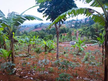 Jual Cepat Tanah Kavling Samping Cafe Ngopi Di Kebon 2 Jt/M²