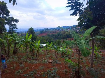 Jual Cepat Tanah Kavling Samping Cafe Ngopi Di Kebon 2 Jt/M²