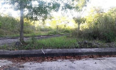 213 Sqm Corner Lot for Sale in Consolacion Cebu