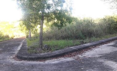 213 Sqm Corner Lot for Sale in Consolacion Cebu