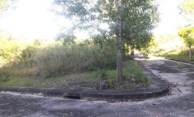 213 Sqm Corner Lot for Sale in Consolacion Cebu