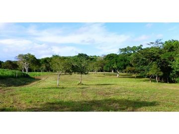 TERRENO EL ESPINO DE SANTIAGO VERAGUAS