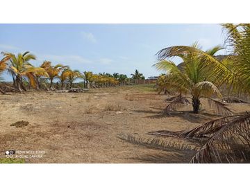 VENDO LOTES DE PLAYA ZORRITOS TUMBES PERU