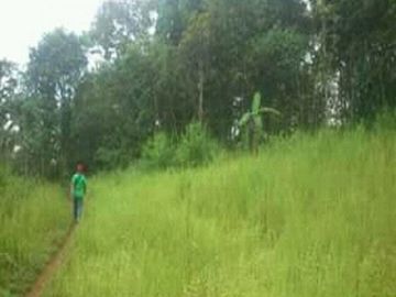 Dijual Cepat Tanah Murah 260 Ha Di Pabuaran Kota Sukabumi