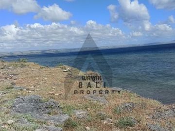 Tanah 19 Hektar Pinggir Pantai Di Sumba NTT