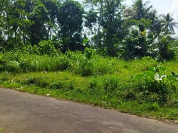 Rumah model minimalis dengan suasana alam yang asri