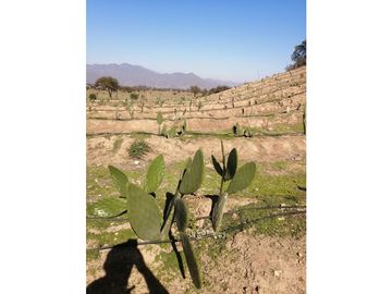 Vta Terreno sector de Aithue ,Melipilla MAN-600