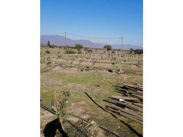 Vta Terreno sector de Aithue ,Melipilla MAN-600