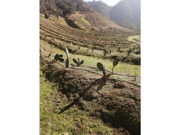 Vta Terreno sector de Aithue ,Melipilla MAN-600