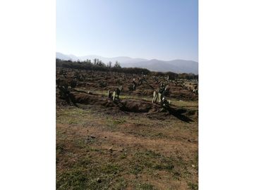 Vta Terreno sector de Aithue ,Melipilla MAN-600